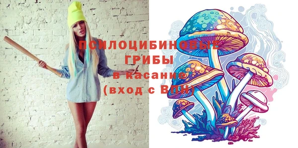 прущие крисы Корсаков