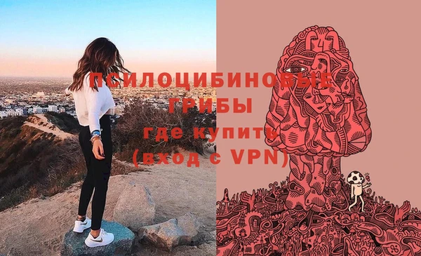 спиды Коряжма